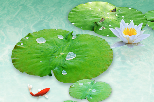 ������������������޹�˾ | ٿ���·�������ѭС����